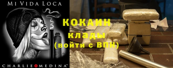 мдпв Няндома