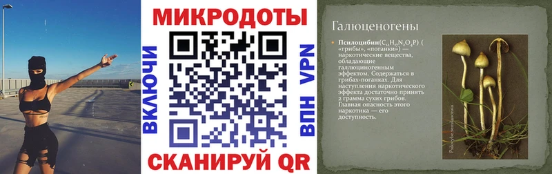 Галлюциногенные грибы GOLDEN TEACHER  где найти   Ворсма 