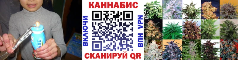Бошки Шишки планчик  Ворсма 